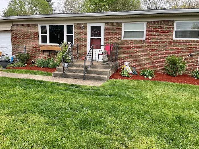 Family Tree Landscaping Picture 9