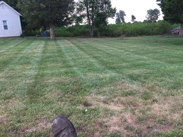 Swain Lawn Care Picture 1