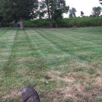Swain Lawn Care ico