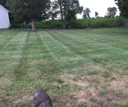 Swain Lawn Care