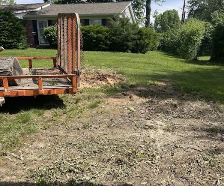 ACL Lawn Care Group Llc