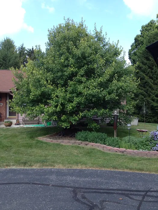ACL Lawn Care Group Llc Picture 2