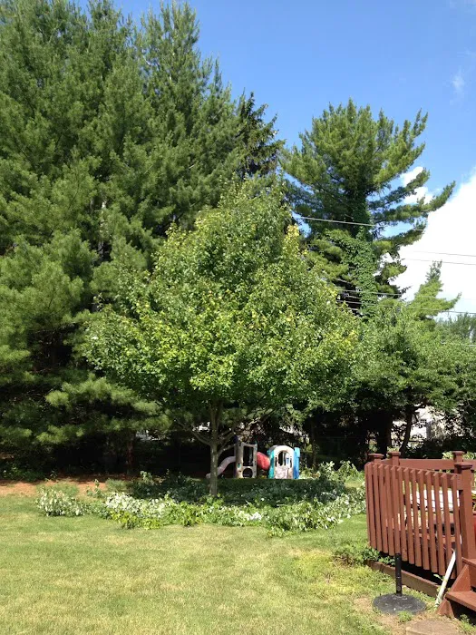 ACL Lawn Care Group Llc Picture 10