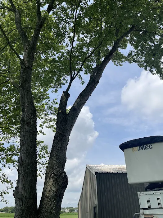 ACL Lawn Care Group Llc Picture 5