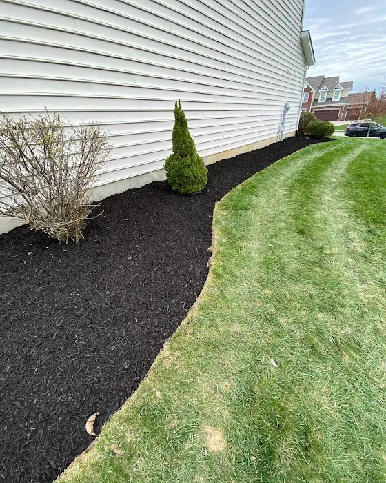 Bedwell Outdoor Services Picture 9