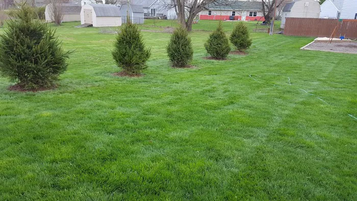 BLC Outdoor Services Picture 5