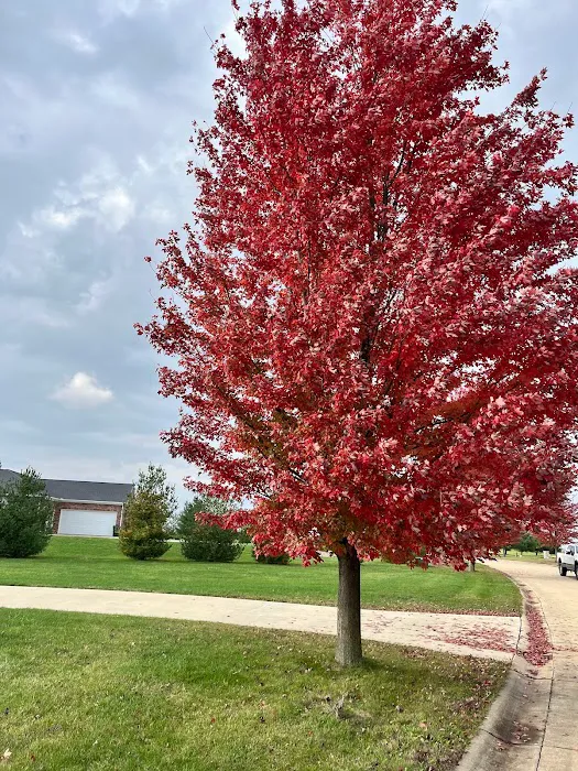 Above & Beyond Lawn Care / Serving Decatur Illinois & Surrounding Area / Commercial & Residential Picture 8