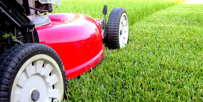 Bowman's Lawn Care Picture 2