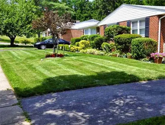 Bowman's Lawn Care Picture 8