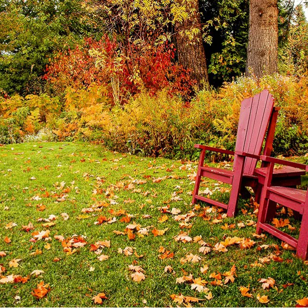 Bowman's Lawn Care Picture 10