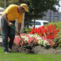 The Grounds Guys of Decatur, IL ico
