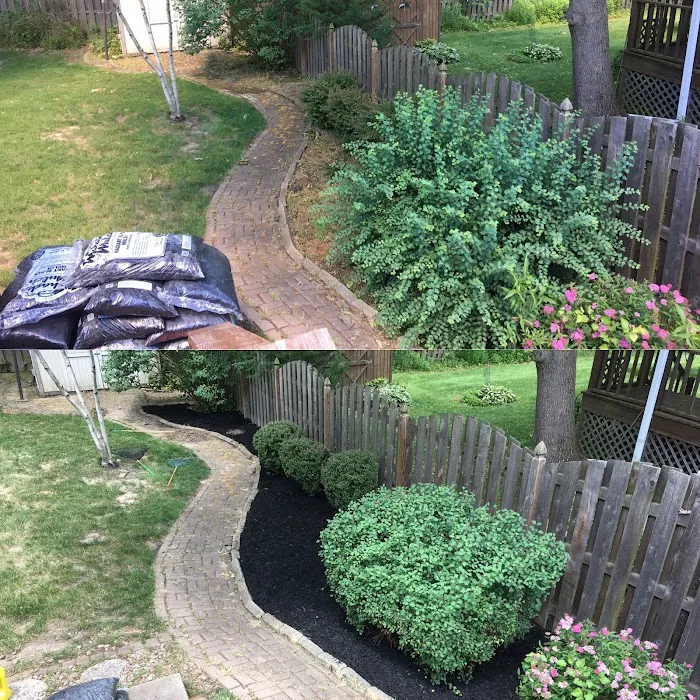 Red Line Lawn Care Picture 4