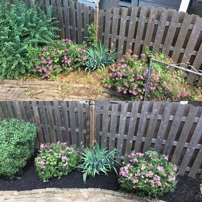 Red Line Lawn Care Picture 6