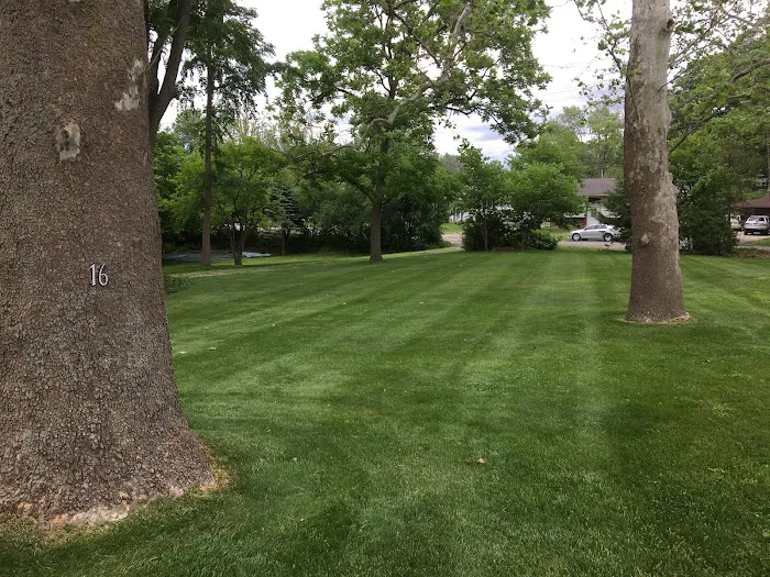 Red Line Lawn Care Picture 8