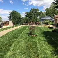 Red Line Lawn Care ico
