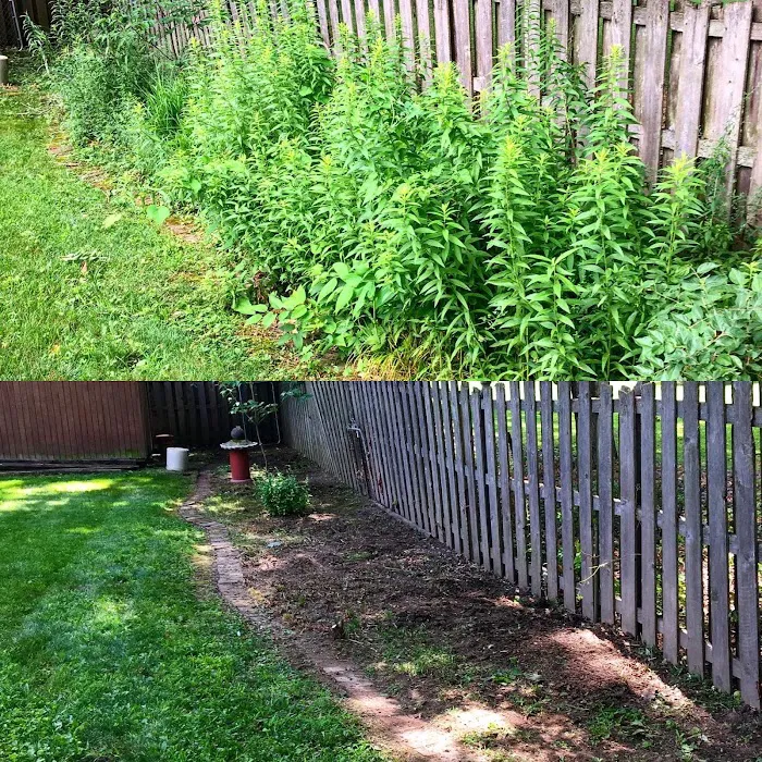 Red Line Lawn Care Picture 3