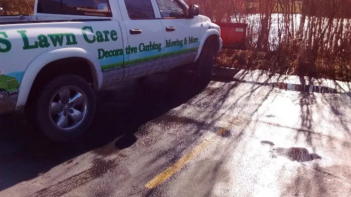 Cs Lawn care tree removal Picture 2