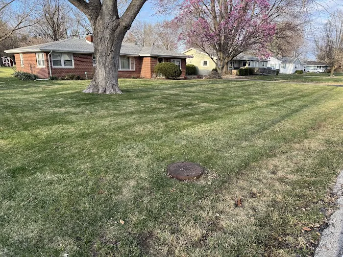 Cs Lawn care tree removal Picture 10