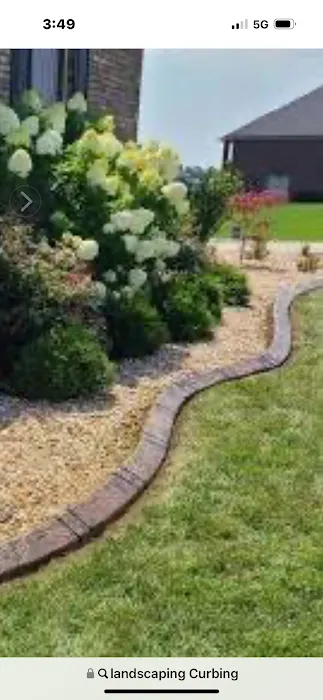 Cs Lawn care tree removal Picture 4