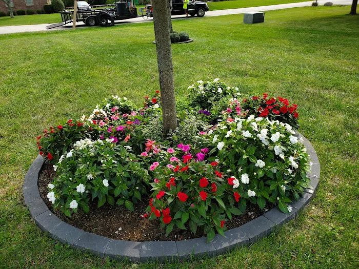 Diamond Professional Lawncare Picture 9