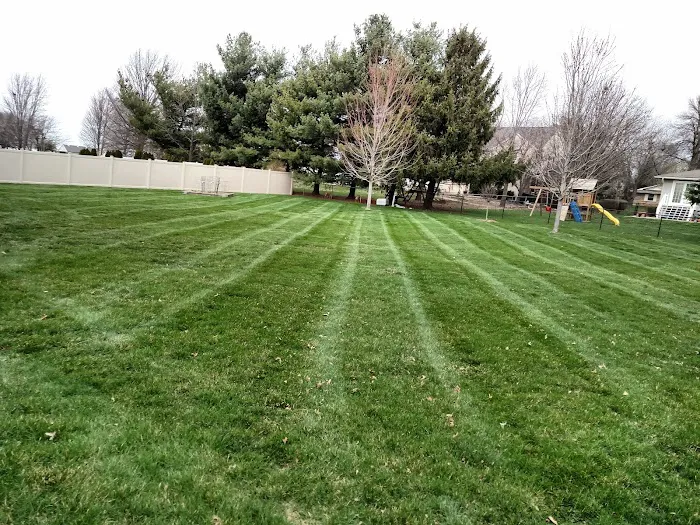 Pro-Lawn Care Picture 3