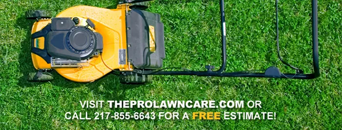 Pro-Lawn Care Picture 1