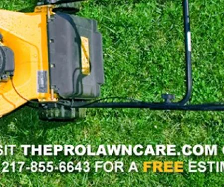 Pro-Lawn Care
