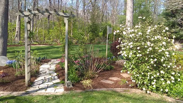 Green Leaf Lawn Care Picture 5