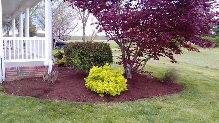 Green Leaf Lawn Care Picture 2