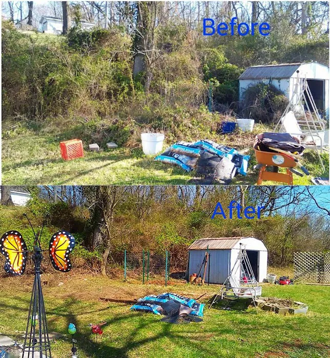 Green Leaf Lawn Care Picture 10