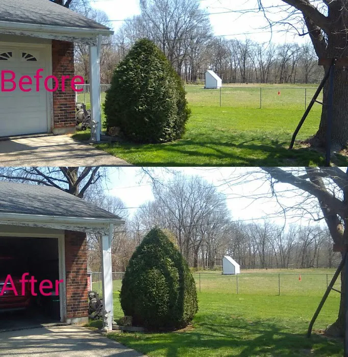 Green Leaf Lawn Care Picture 9