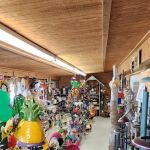 Community Seed & Feed