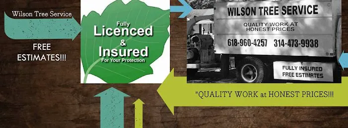 Wilson Outdoor Services LLC Picture 1