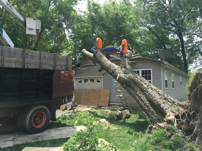 Wilson Outdoor Services LLC Picture 2
