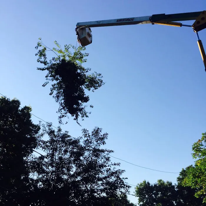 Wilson Outdoor Services LLC Picture 4