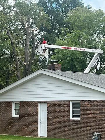 Wilson Outdoor Services LLC Picture 9
