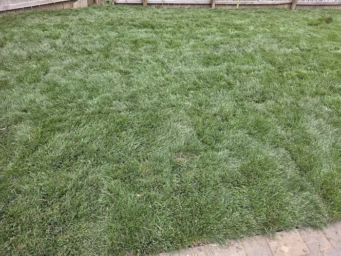 Keeven Brothers Sod Farms Picture 5