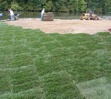 Keeven Brothers Sod Farms Picture 7