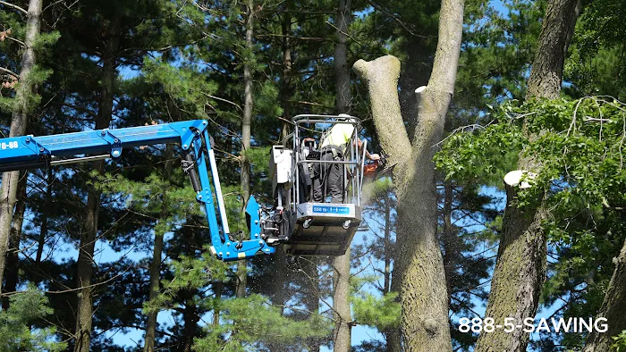 OLI Outdoor Services Picture 3
