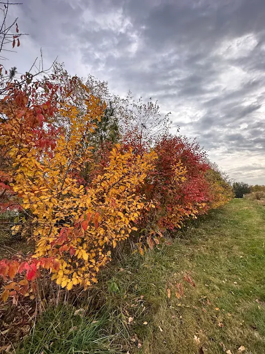 Confluence Habitats LLC Picture 5