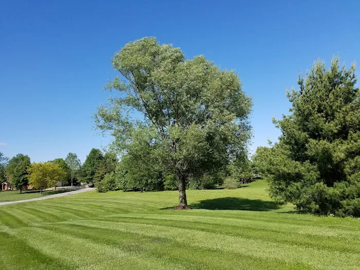 D&D Lawn Care, Inc. Picture 2