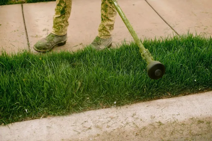 D&D Lawn Care, Inc. Picture 8