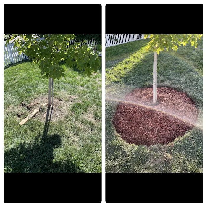 Nehrt Lawn & Outdoor Services Picture 4