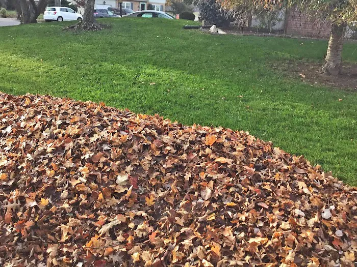 Hanson's Lawn Care Picture 3
