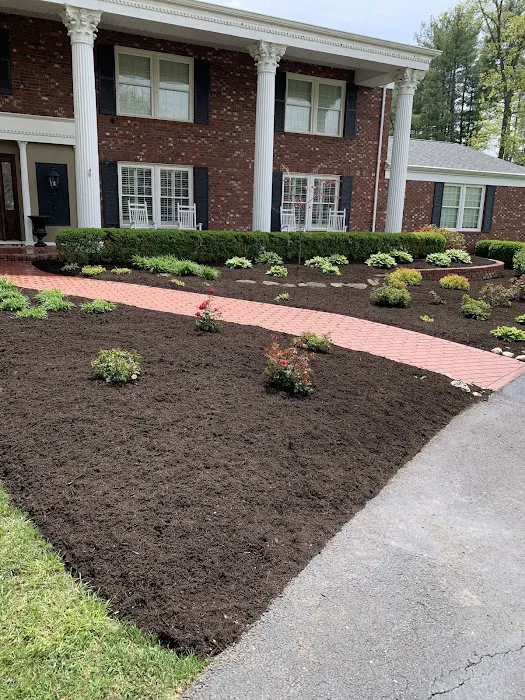 Davis Lawn Care Picture 5