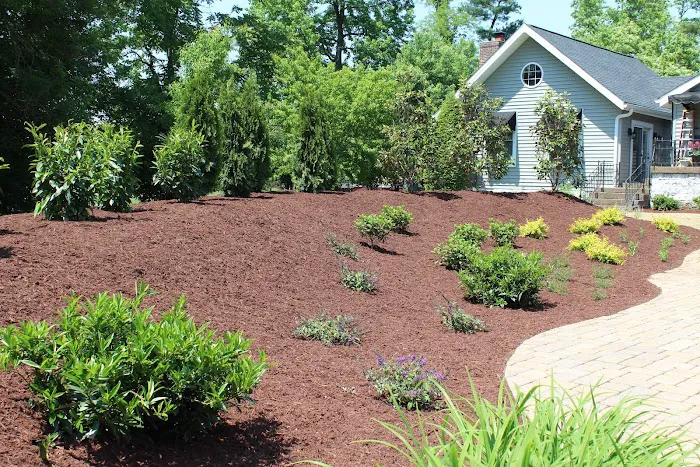 Evergreen Lawn Care Picture 8