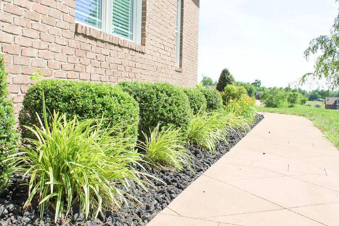 Evergreen Lawn Care Picture 3