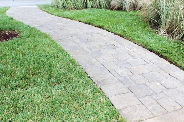 Evergreen Lawn Care Picture 2