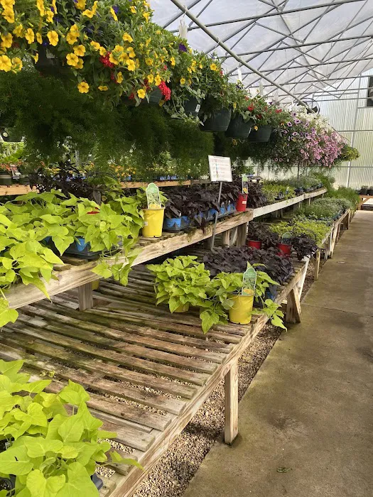 Integrity Nursery & Outdoor Living Picture 8