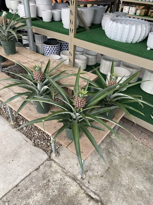 Integrity Nursery & Outdoor Living Picture 7